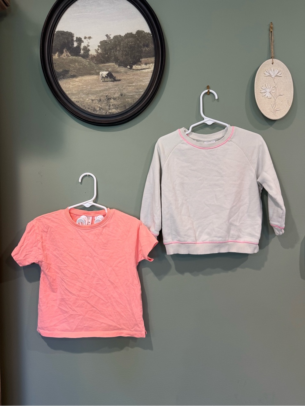 ZARA 2 piece toddler top lot